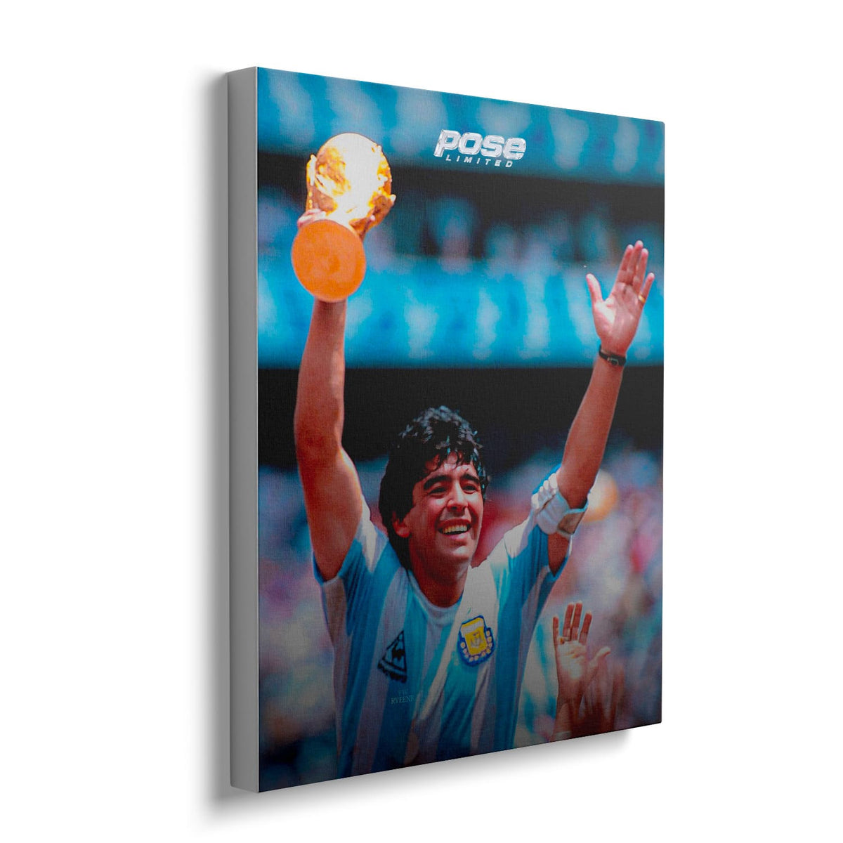 TOILE - Diego Maradona - 40x50cm